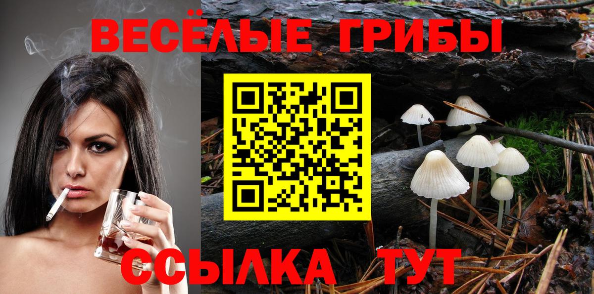 Псилоцибиновые грибы Psilocybe Нягань