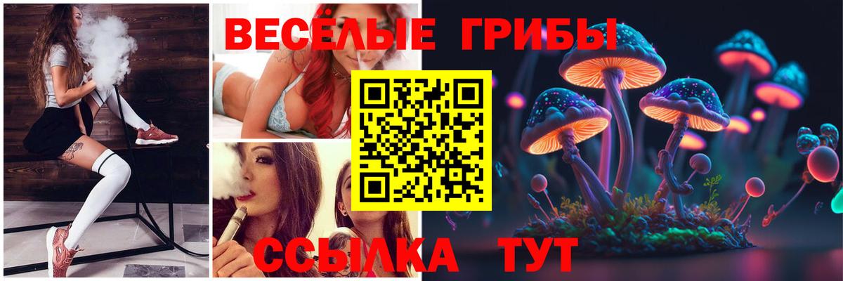 Галлюциногенные грибы Magic Shrooms  где найти наркотики  Нягань  Галлюциногенные грибы Psilocybe  Вход с VPN 